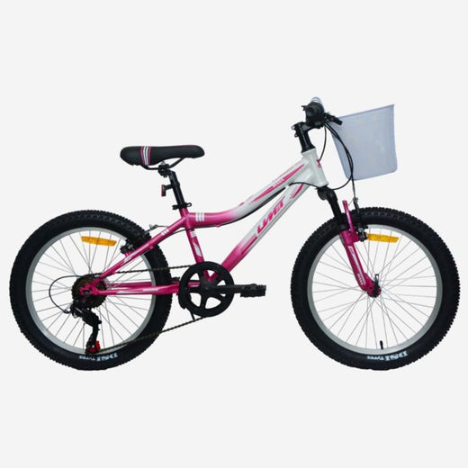Bicicleta UMIT Diana 20" Rosa-Blanca 6V con Cesta