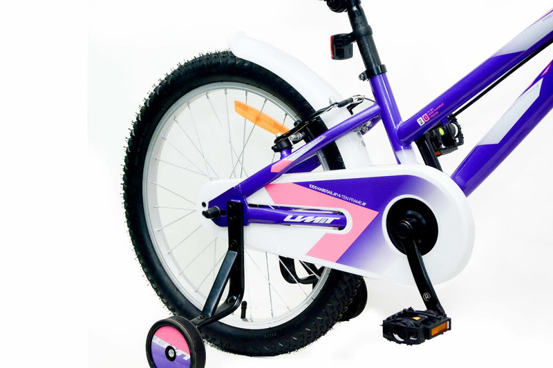 Bicicleta UMIT Calypso 20 Pulgadas Violeta con Cesta - Ref. 2025-03