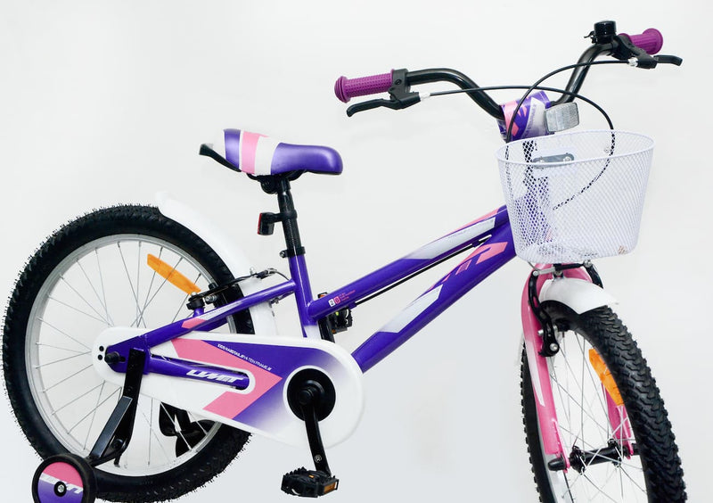 Bicicleta UMIT Calypso 20 Pulgadas Violeta con Cesta - Ref. 2025-03