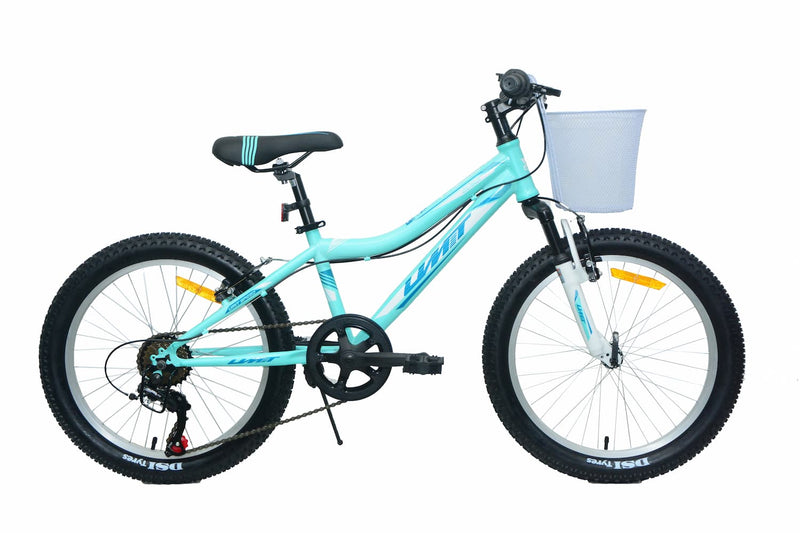 Bicicleta UMIT Diana 20 Pulgadas Turquesa con Cesta y Portamuñecas - Ref. 2125-2