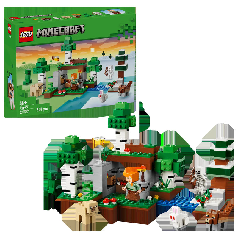 LEGO Minecraft 21593 Aventura de la Primera Noche - display: caja + producto montado