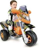 Trimoto XTM 6V Feber