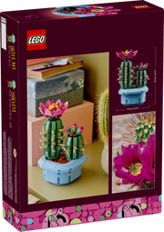 Cactus en Flor LEGO Botanicals - Caja del producto ref. 11509 con 482 piezas