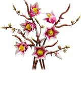 LEGO Botanicals 11510 ramas magnolia rosa blanco fondo blanco
