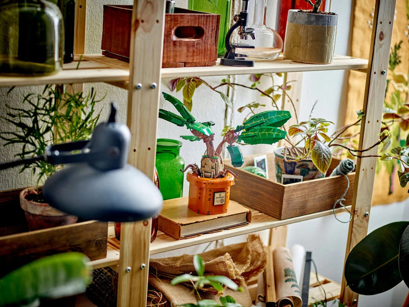 Lego Harry Potter Mandrágora (76433)