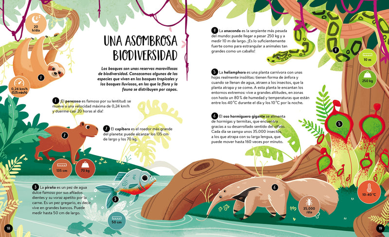 La Tierra – Libro de Ciencias Sassi Junior — Manolito Books (vista 3)