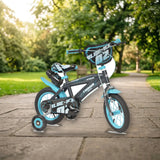 Toimsa 12" Blue Ice en el parque