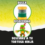 Mecánica de disección del Treasure X para descubrir la tortuga