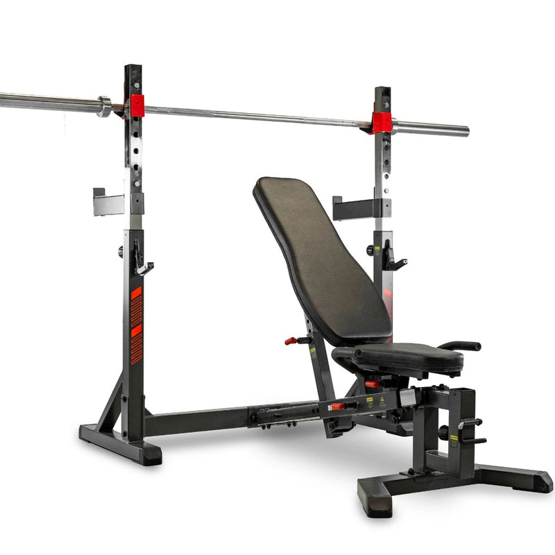 BH Banco de Musculación Press Ajustable (G510) - detalle