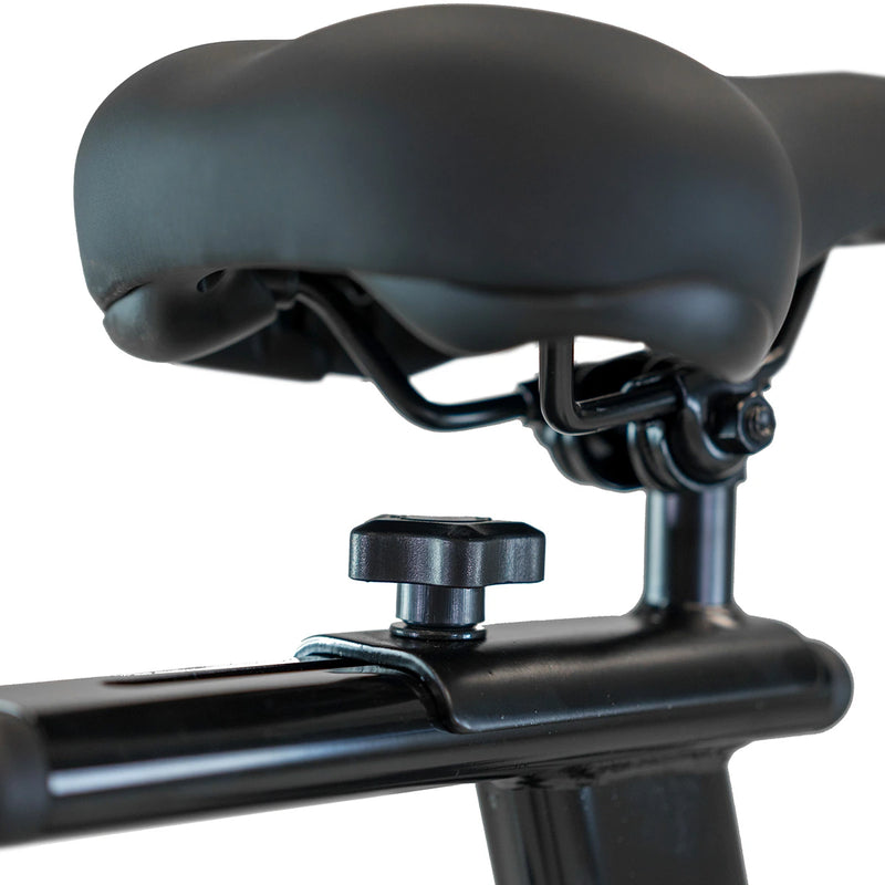 BH Bicicleta de Ciclo Indoor Xcalibur Silver (H9340S) - sillin