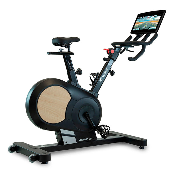 BH Bicicleta de Ciclo Indoor Xcalibur Multimedia (H9340TFT)