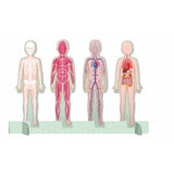 El mega atlas del cuerpo humano — Manolito Books (vista 3)