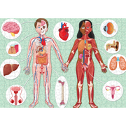 El mega atlas del cuerpo humano — Manolito Books (vista 4)