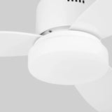 Ventilador de techo Orbegozo CP 103132 - panel de control