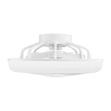 Ventilador de techo Orbegozo CP 12435 - detalle
