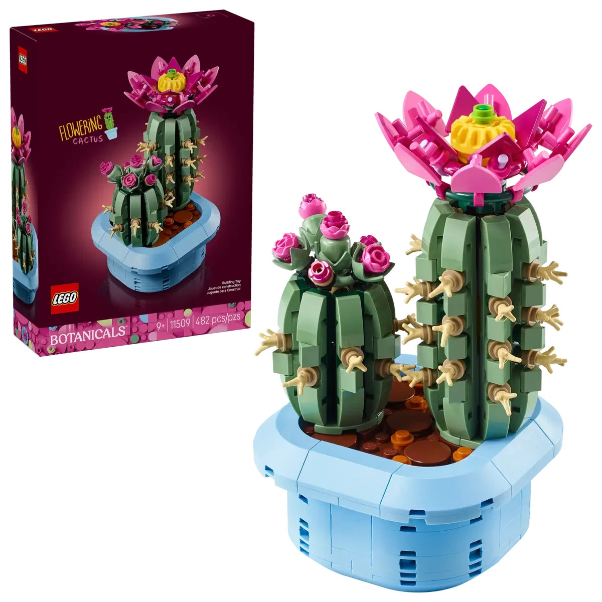 Caja lateral LEGO Botanicals Cactus mostrando flores rosas y espinas