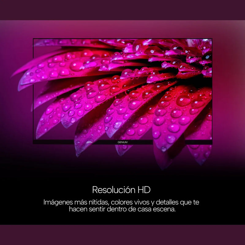 Resolución HD del televisor Genium GTV24HD mostrando una flor en detalle
