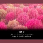 Comparativa de imagen normal frente a HDR10 en el televisor Genium GTV24HD