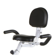 BH Bicicleta Estática X-Tri II - sillín con respaldo lumbar