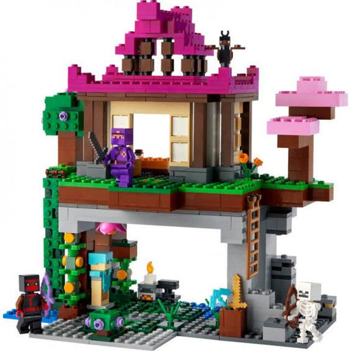 Lego Minecraft El Campo de Entrenamiento (21183)