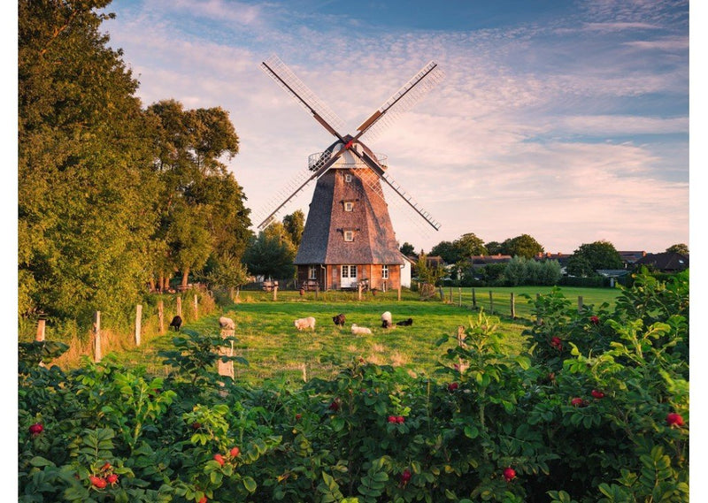 Ravensvurger puzzle 1500 MOLINO DE VIENTO EN EL MAR BALTICO
