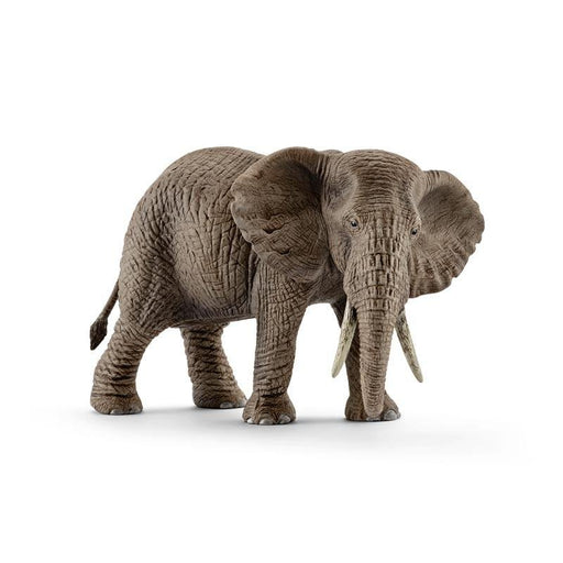 Schleich Elefante Africano hembra (14761)