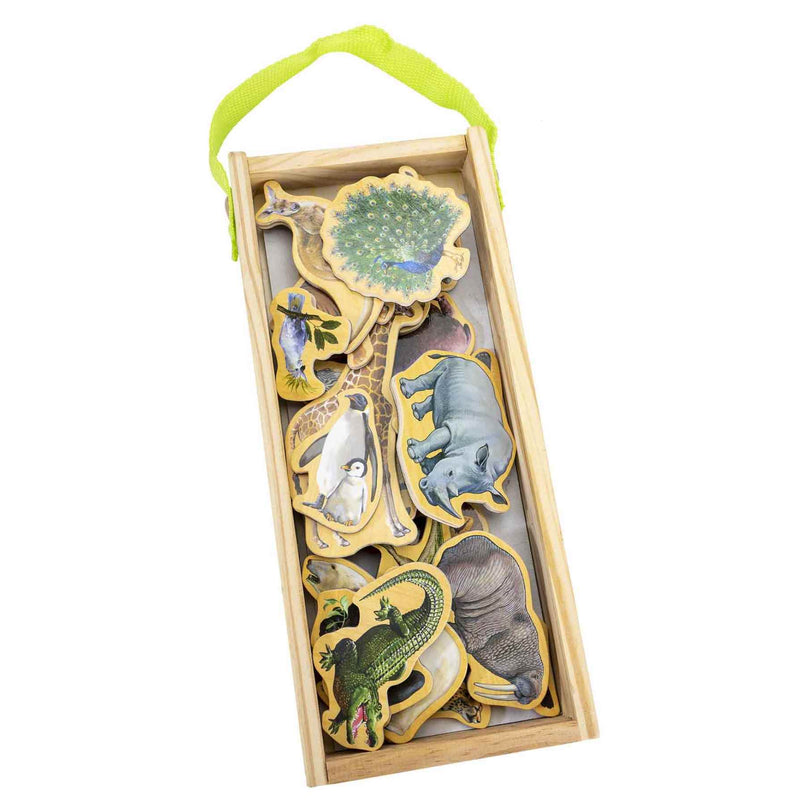 Toy Planet Figuras Magneticas (23402)